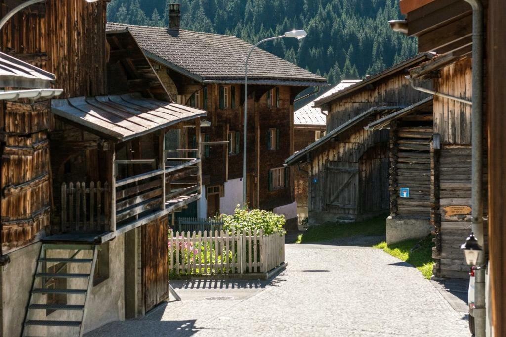 Disentis Mountain View Appartement Buitenkant foto